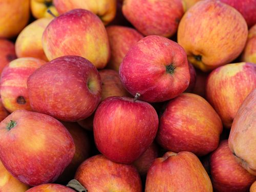 Free A vibrant close-up of fresh red apples, showcasing their natural beauty and freshness, ideal for health and nutrition themes. Stock Photo