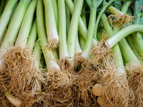 Close-up image of fresh organic leeks on display at a farmer's market, showcasing vibrant green colors.