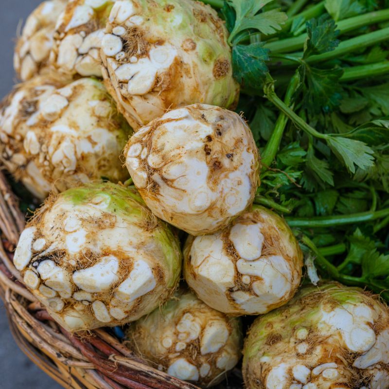 Creamy Celery Root and Apple Chowder