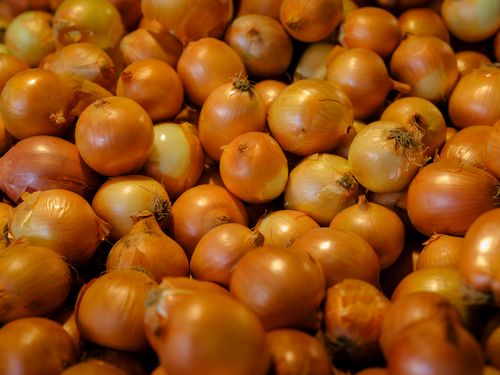 Free A pile of fresh, organic onions on display at a local farmers market showcasing their natural color and freshness. Stock Photo