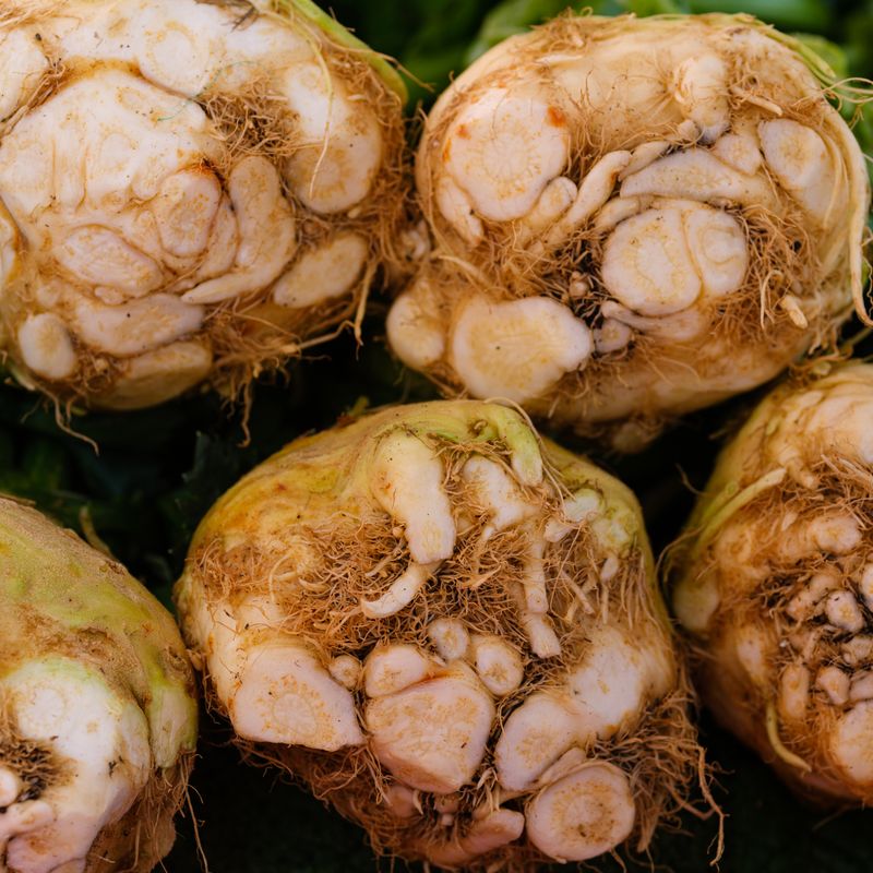 Slow Cooker Roasted Celeriac Root with Crispy Mustard Seed Oil Amaranth