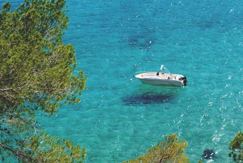 Foto profissional grátis de água, barco, barco branco