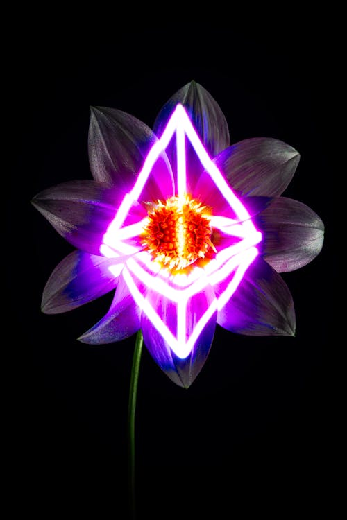 A flower with a neon light on it