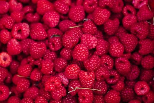 A vibrant display of fresh, ripe raspberries, perfect for healthy eating and food photography.
