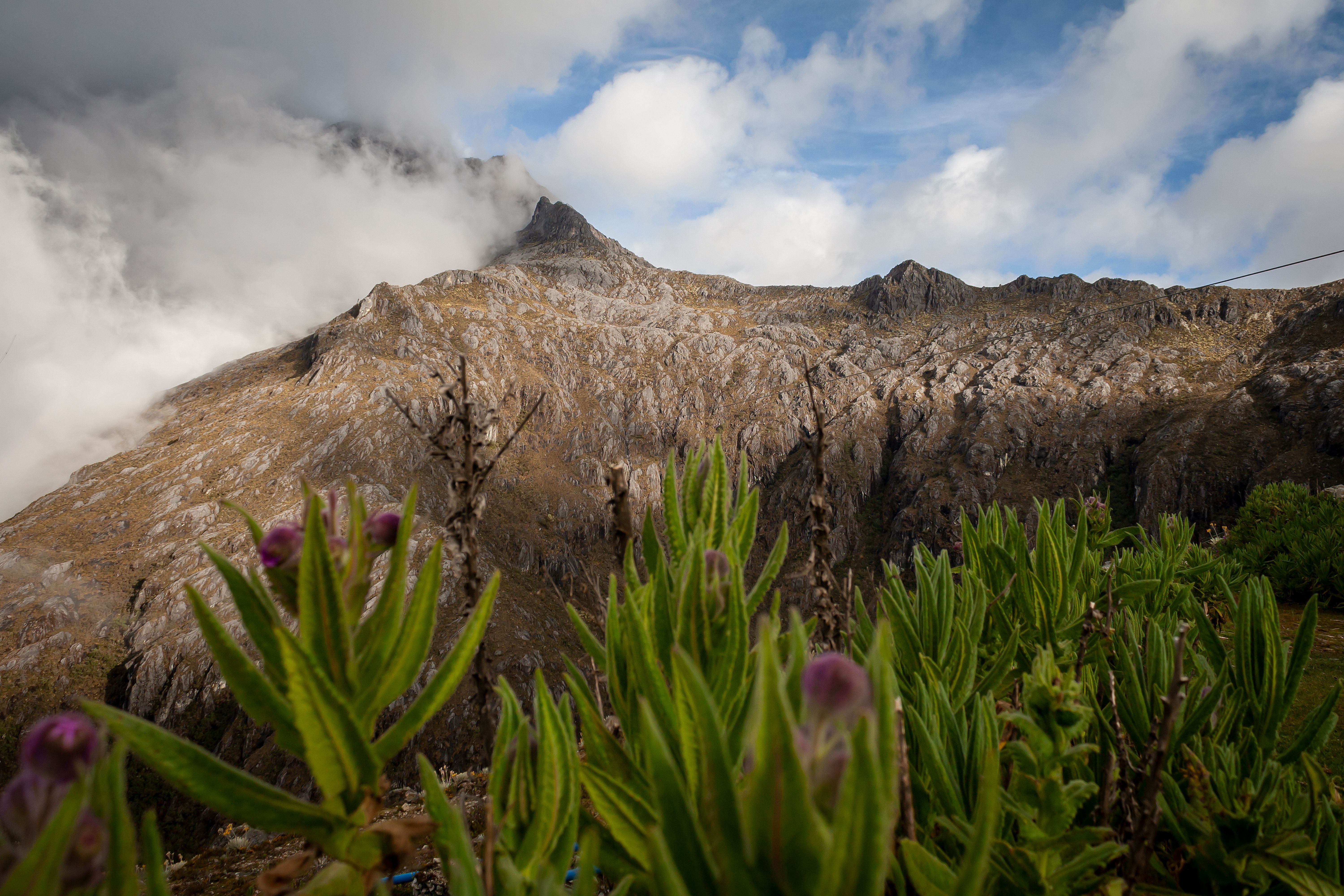 Mucuchíes i paramo