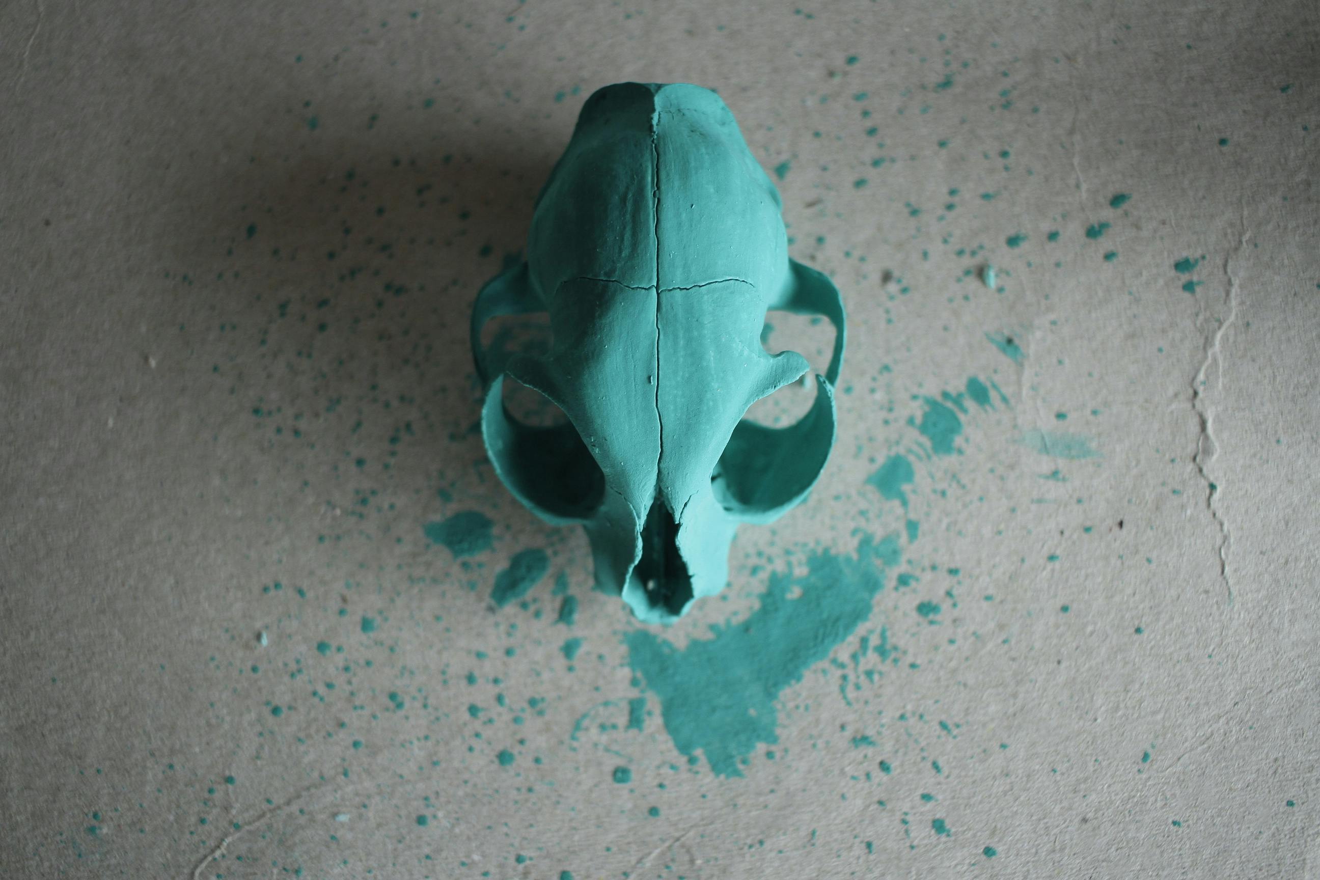 Close-up of a vibrant green painted animal skull splattered on the floor, artistic display.