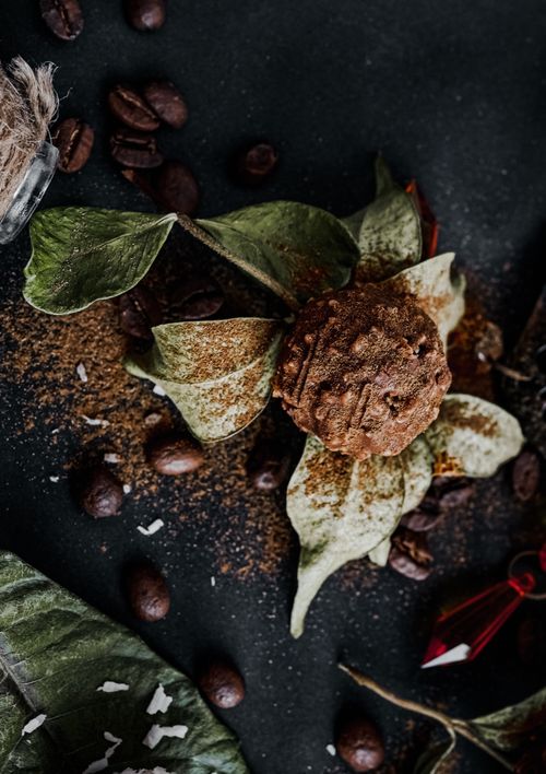Free A close-up of chestnuts and leaves arranged on dark soil, creating a rustic autumn feel. Stock Photo