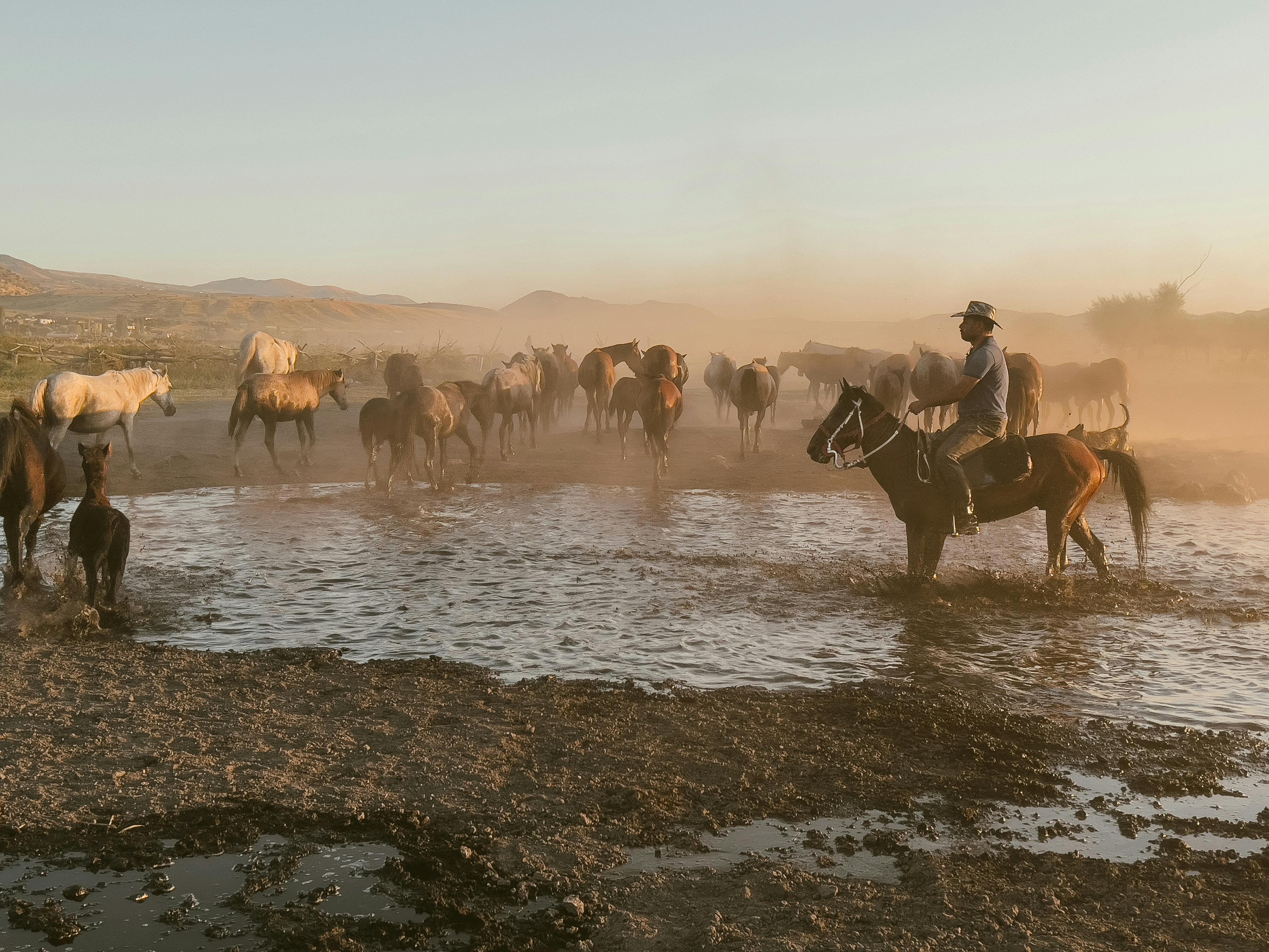 Türkiye’s population prefers Western lifestyle, survey shows — Photo by Mehmet Turgut  Kirkgoz on Pexels