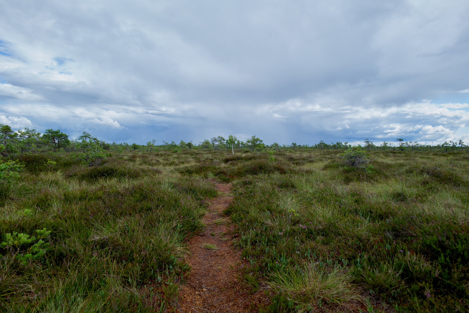 Kaali Meteorite Crater Field: Travel Tips & What to Know Before You Go