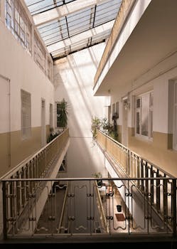 Indoor view of a contemporary apartment corridor featuring plants and natural light.