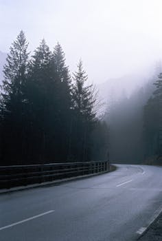 Foggy road bending through a misty forest in Styria, Austria.