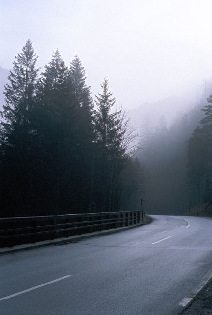 Foggy road bending through a misty forest in Styria, Austria.