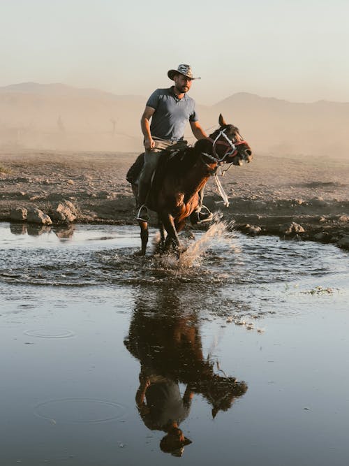 Man Riding on a Horse by the Water