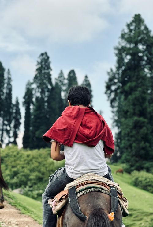 Free A young child rides a horse through lush countryside with tall trees under a bright sky. Stock Photo