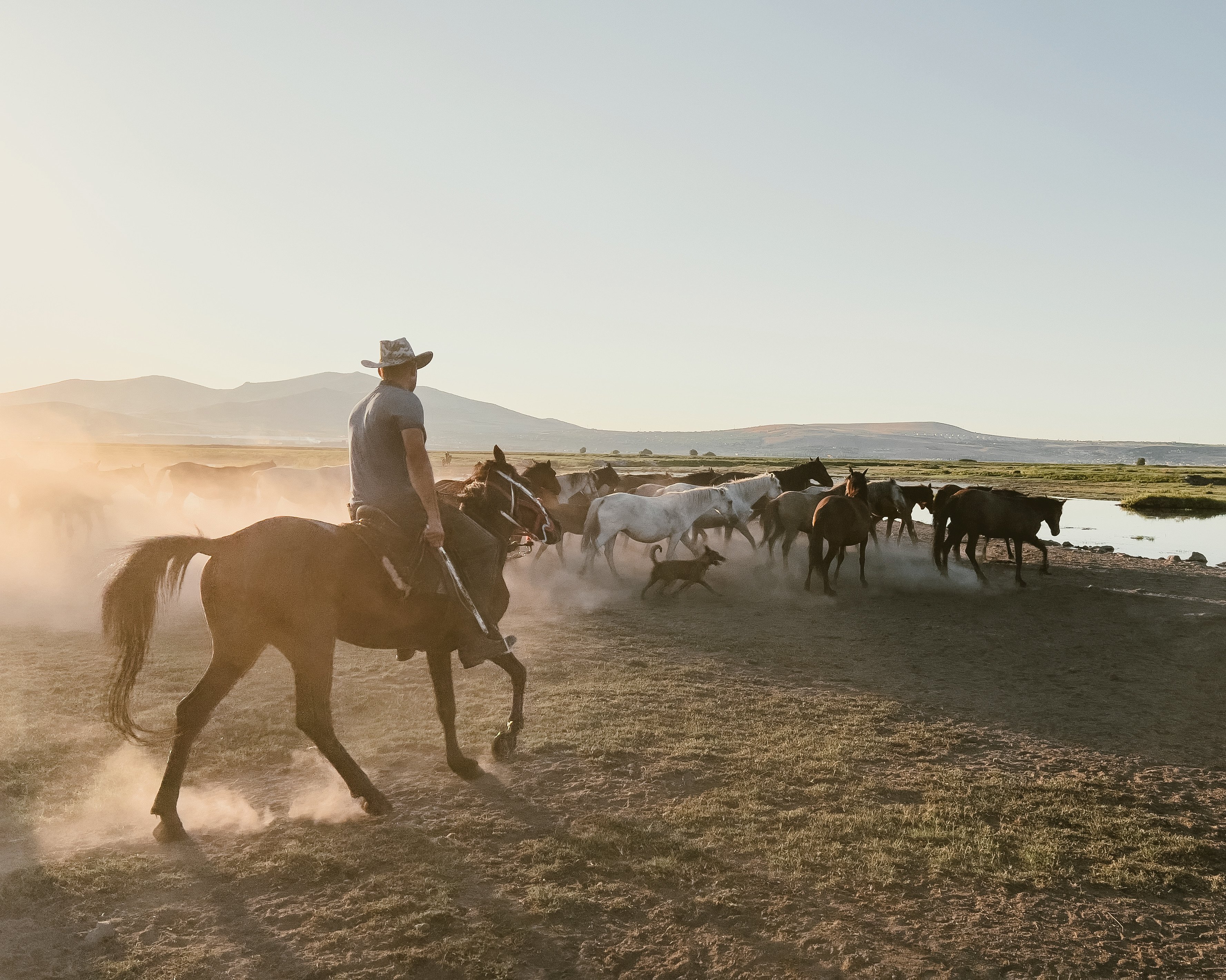 Türkiye’s population prefers Western lifestyle, survey shows — Photo by Mehmet Turgut  Kirkgoz on Pexels
