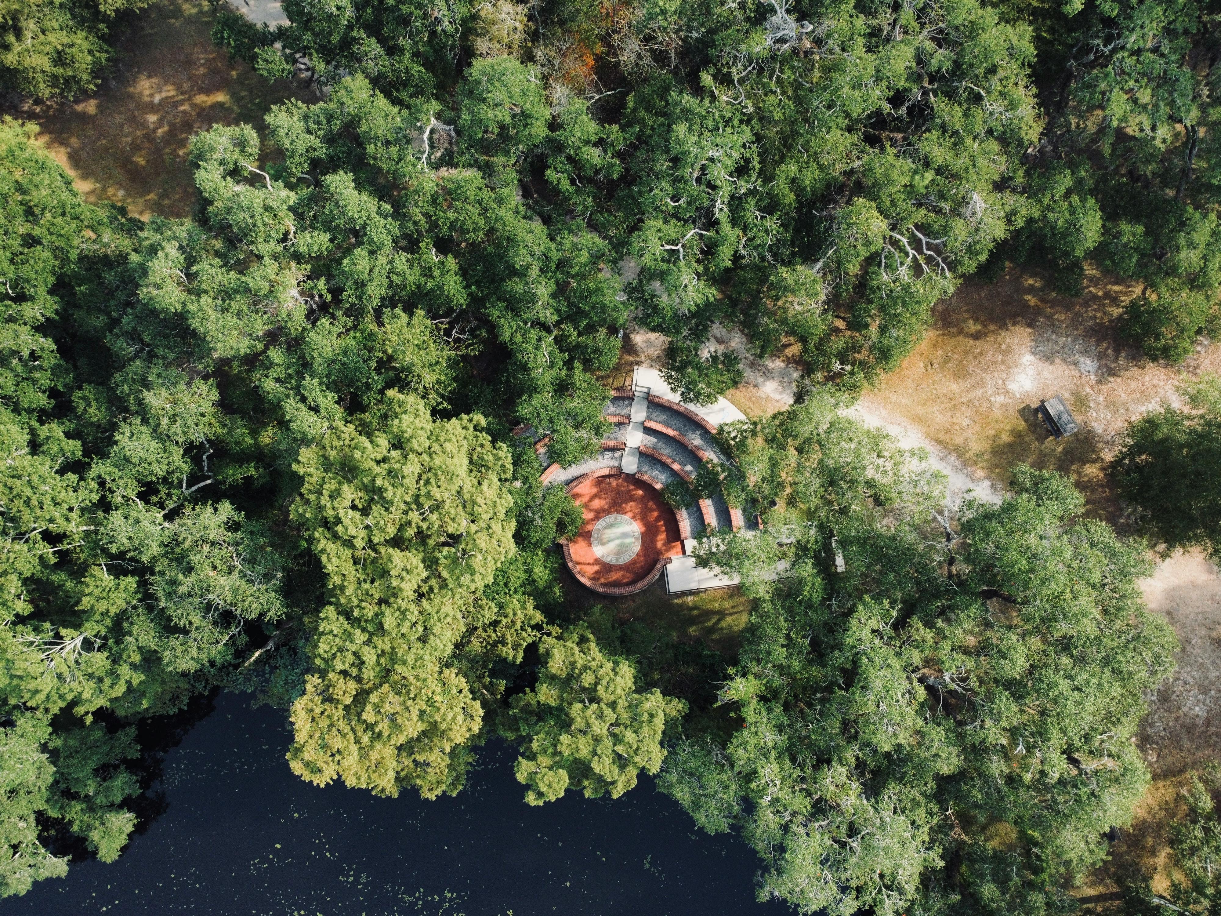 Bezpłatne Darmowe zdjęcie z galerii z amfiteatr, baldachim lasu, biosfera Zdjęcie z galerii