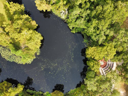 Kostnadsfri bild av böja, drönarbilder, fågelperspektiv