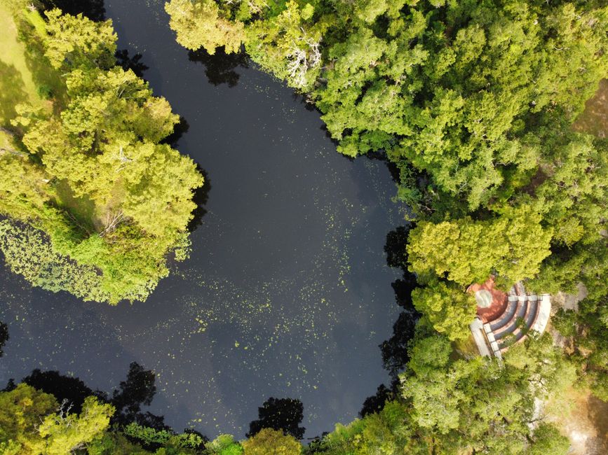 Captivating top-down aerial of a lush forest surrounding a serene pond with a hidden amphitheater.