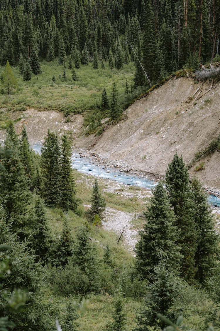 River Flowing In Mountains Landscape