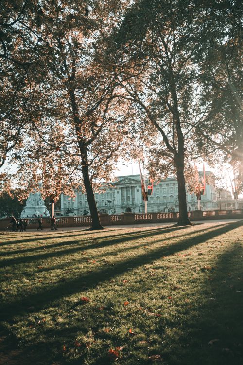 Free Sunlit park with long shadows near Buckingham Palace in autumn. Stock Photo