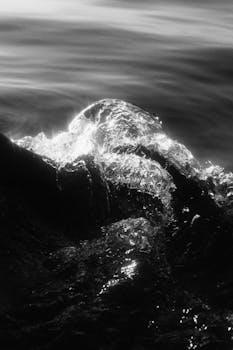 Long exposure shot capturing the fluid motion of a wave in striking black and white.