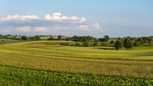 Free Lush green agricultural fields stretch under a vast blue sky with clouds. Stock Photo