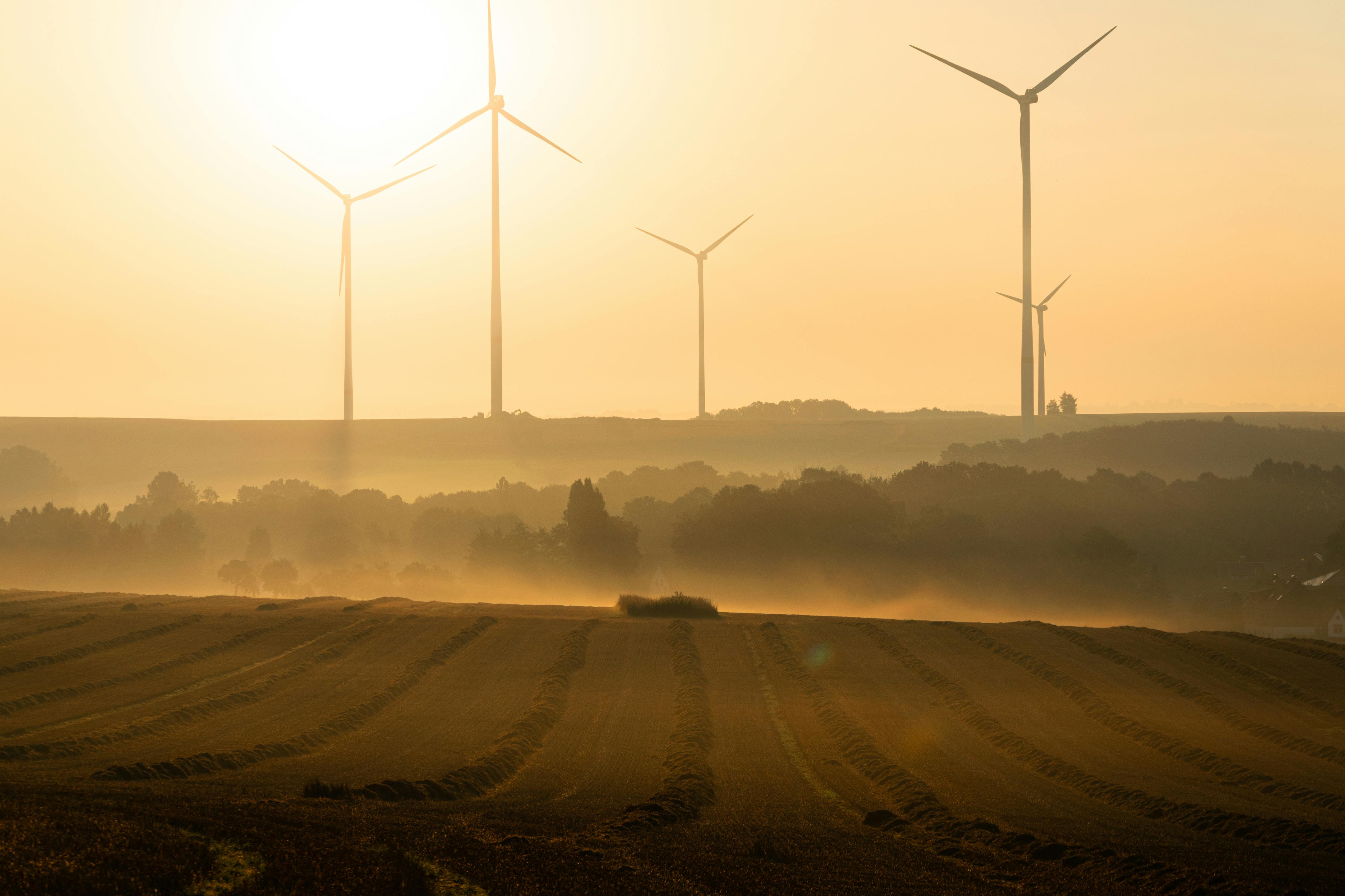 A misty glowing rural field with a golden sunrise and windmills in the background
