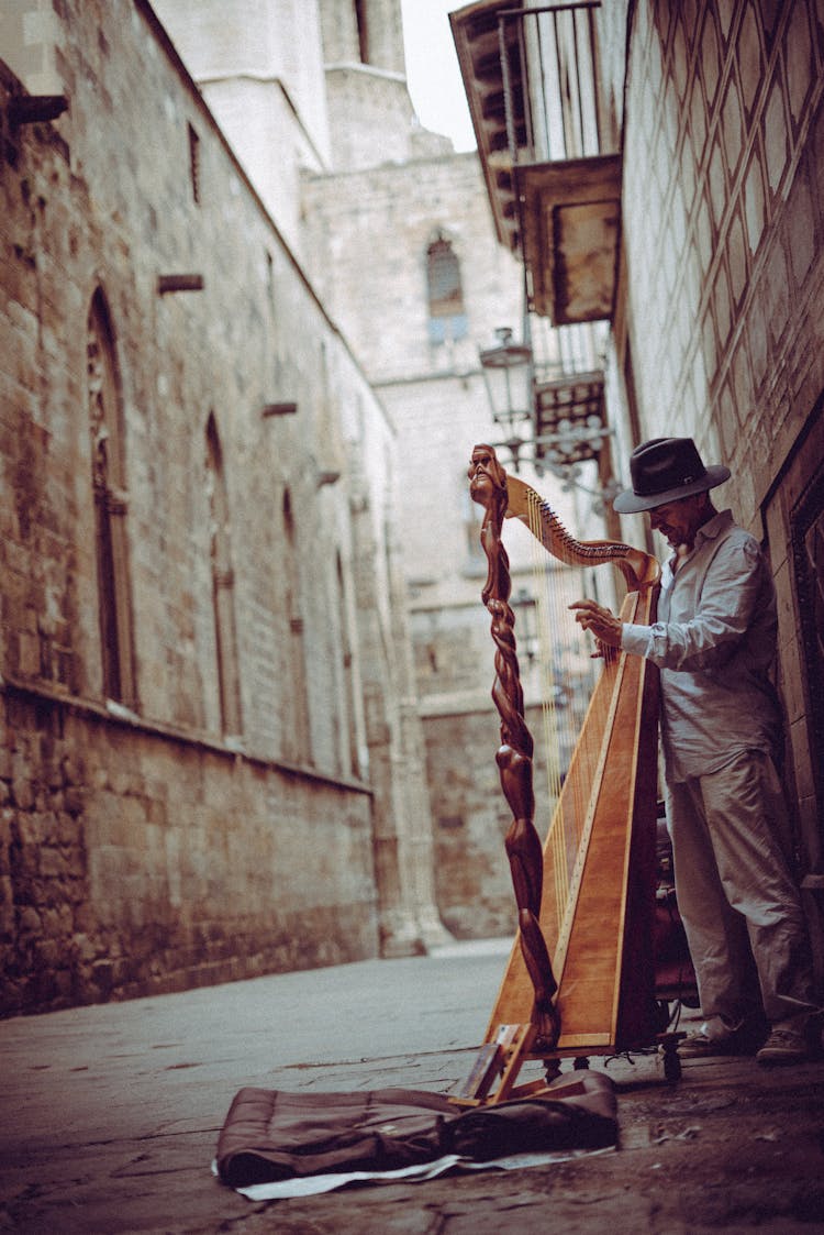 Photo Of Man Playing Harp