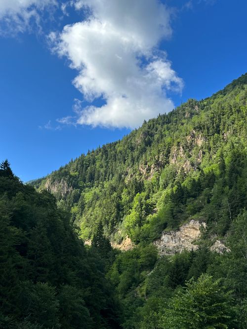 Free Scenic view of a lush green mountain landscape with trees under a bright blue sky and fluffy clouds. Stock Photo