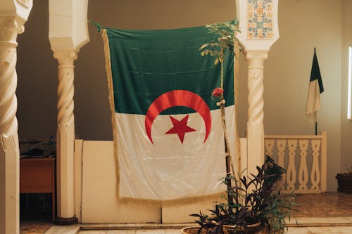 Flag of Algeria in Room