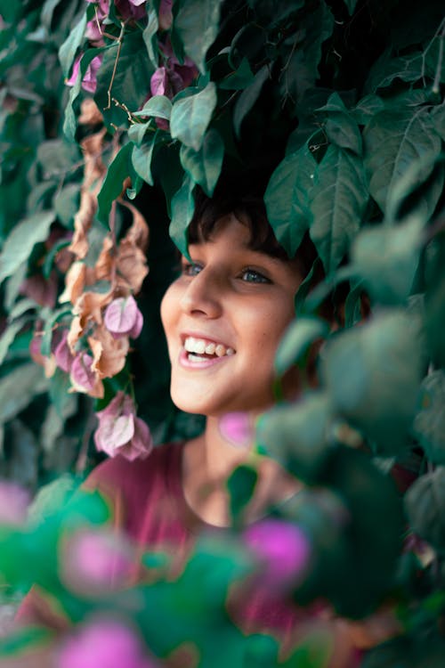 Gratis lagerfoto af algeriet, blomster, dagens billede