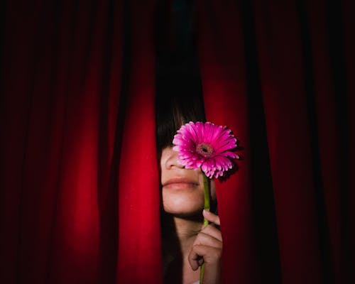 Brunette Woman Posing Behind Red Curtains with Pink Gerbera Flower