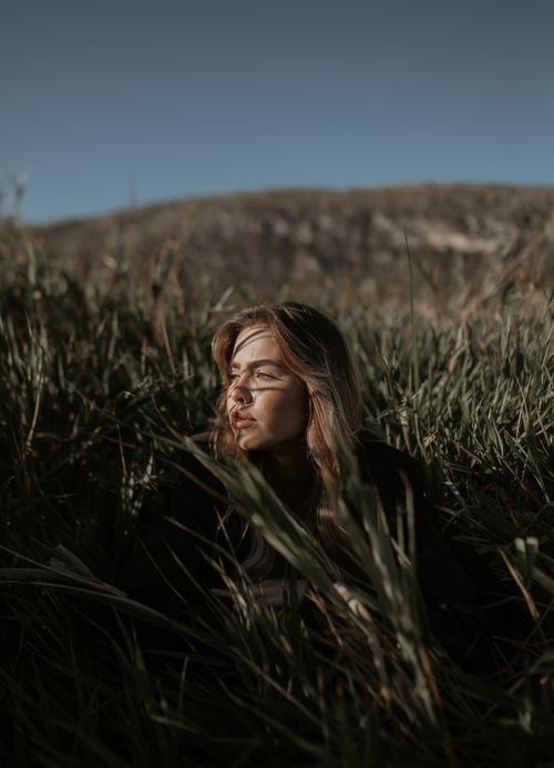Free Serene portrait of a young woman sitting in a sunlit grassy field at sunset. Stock Photo