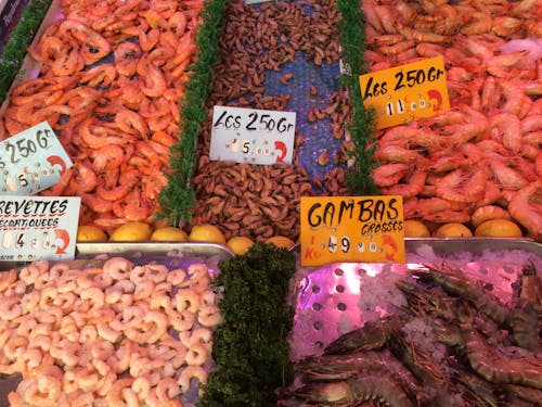 Foto profissional grátis de mercado de peixe