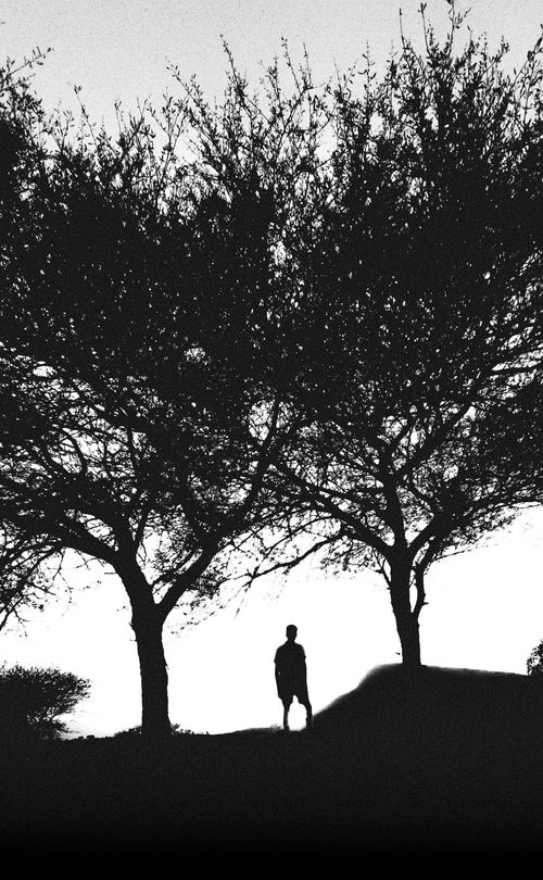 Free A striking black and white silhouette of a man standing between two trees during twilight. Stock Photo