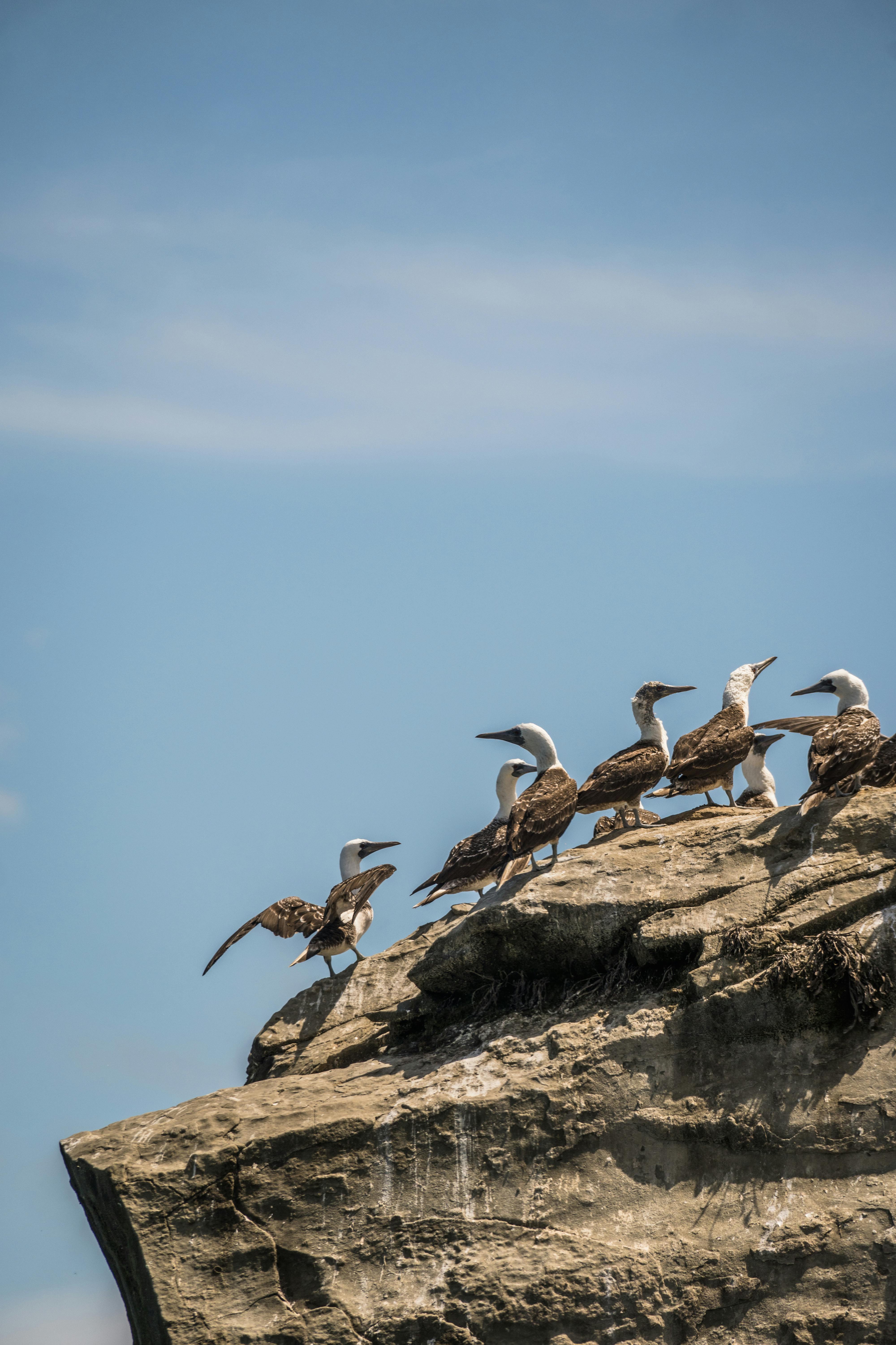 Photos Download The BEST FreeStock Photos HD Images Photos Download The BEST FreeStock Photos HD Images