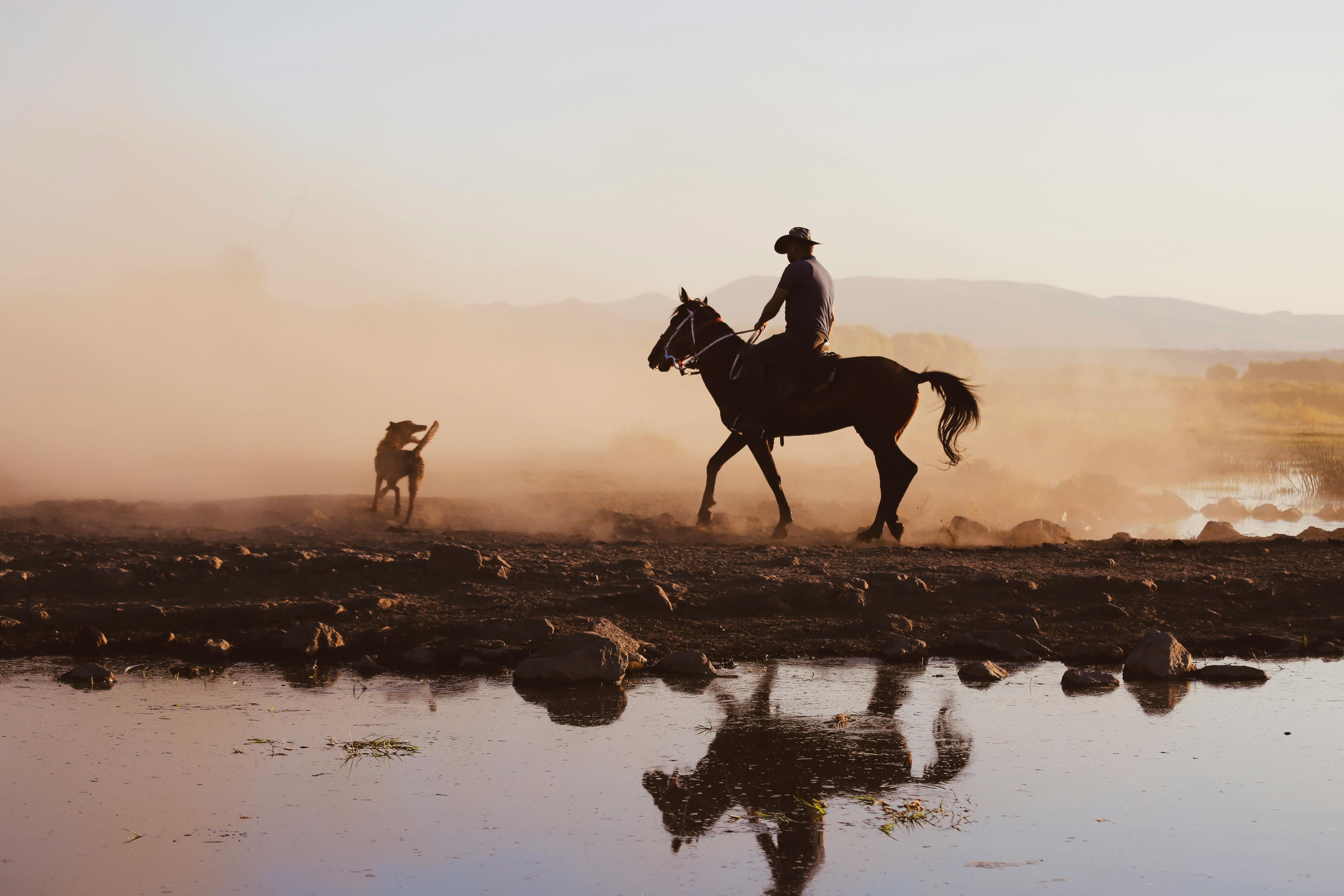 Cowboy on Horse and Dog near Water and under Dust