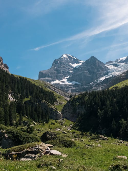 Immagine gratuita di alberi, foresta, montagne