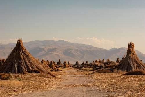 Rural Landscape with Mountains