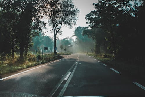 Free Road In Between  Stock Photo