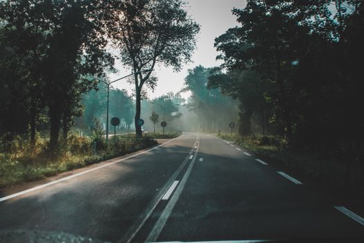 沿着一条空荡荡、雾气覆盖、被郁郁葱葱的绿色植物包围的道路平静地行驶