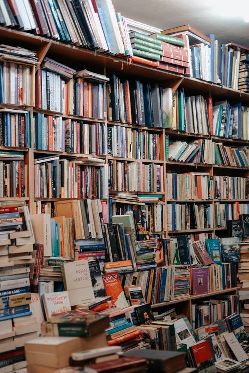 Bookshelves, reference photo