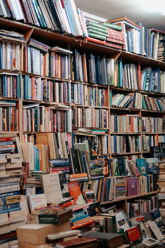 Bookshop shelves, reference photo