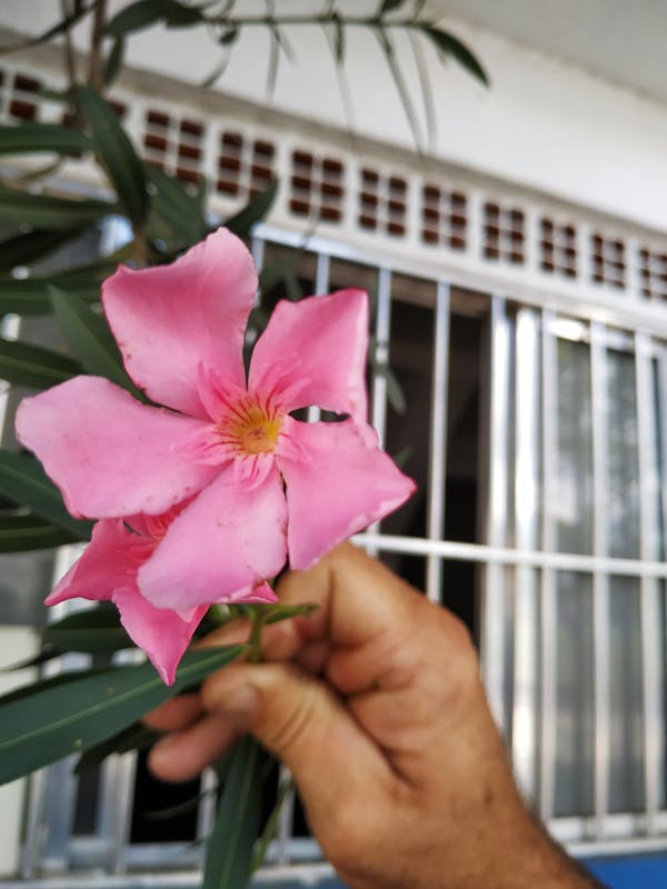 Corte de cabello con tijera
