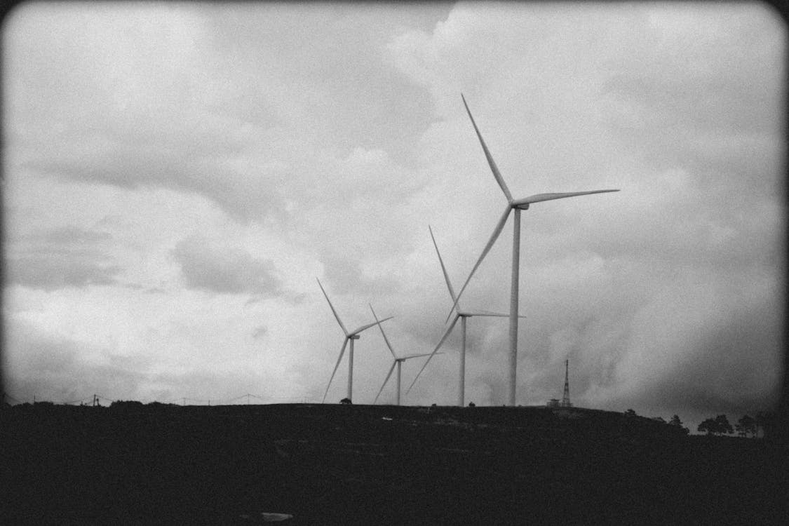 Immagine gratuita di bianco e nero, campo, energia alternativa