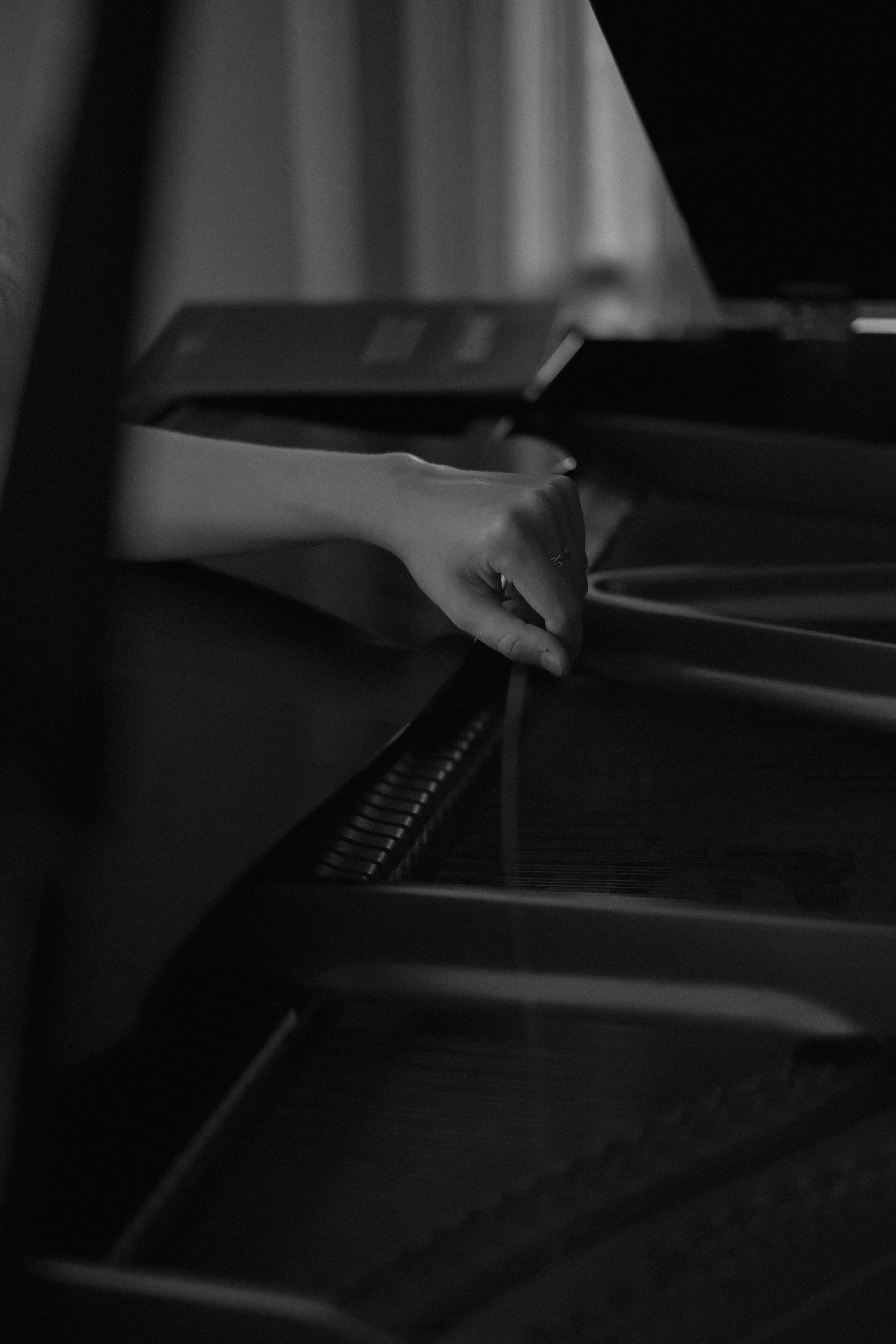 Woman Hand in Black and White · Free Stock Photo