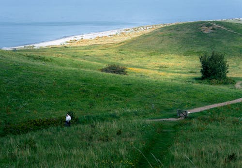 arazi, çimenlik, deniz kıyısı içeren Ücretsiz stok fotoğraf