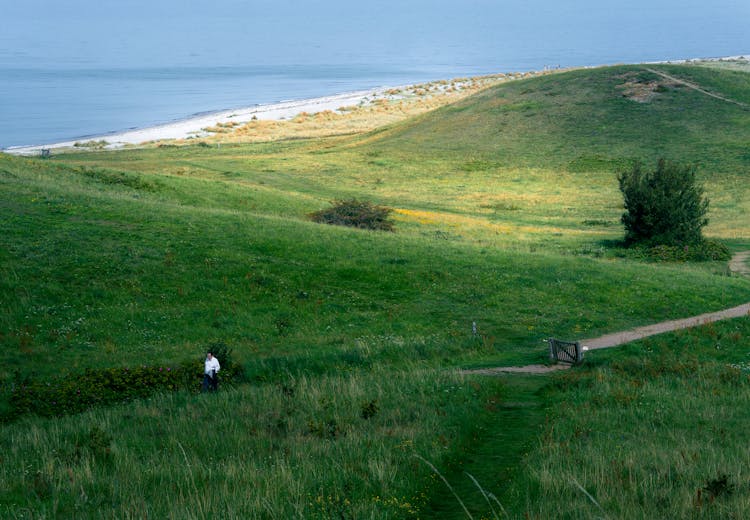 Green Grassland On Sea Coast