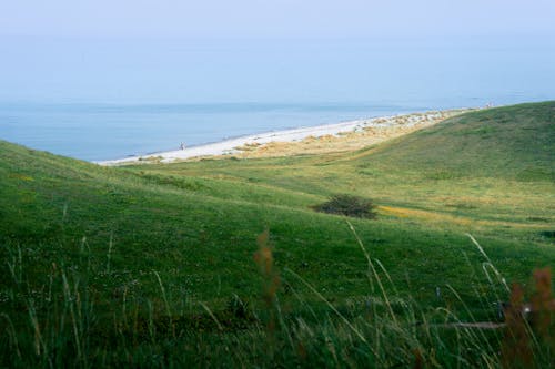 Darmowe zdjęcie z galerii z łąka, morze, natura
