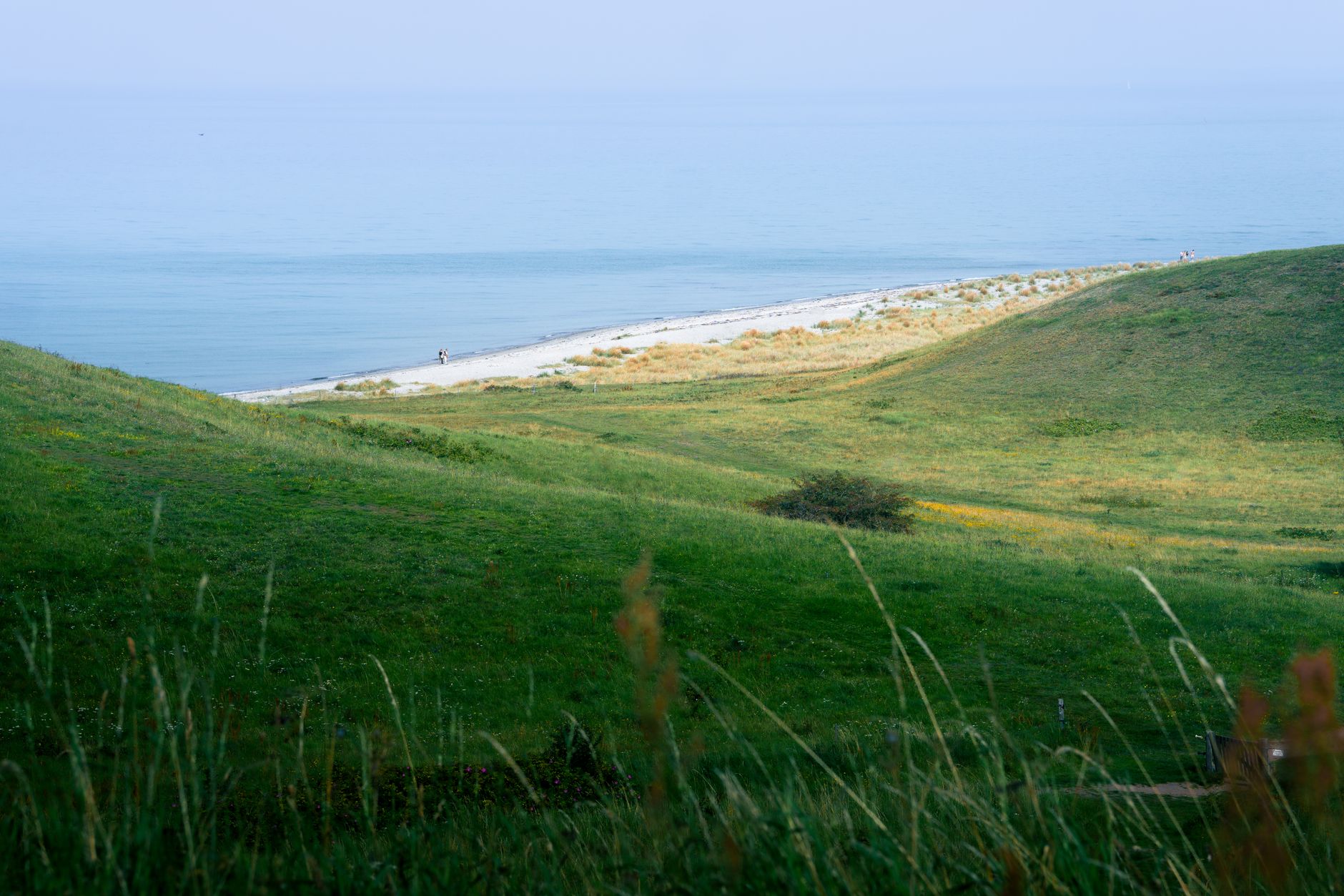 Beautiful view of green hills meeting the serene coast in Samsø Municipality, Denmark.